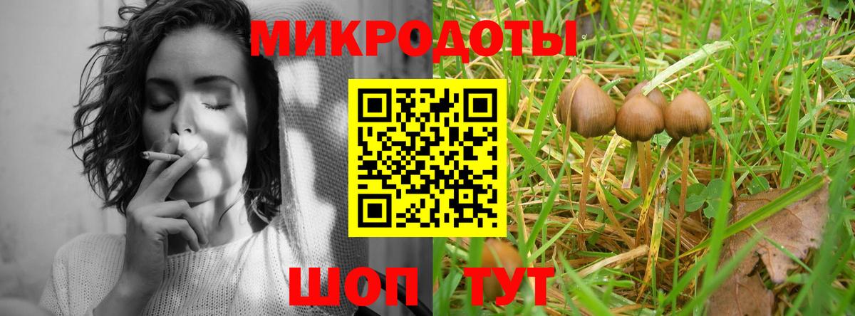 Псилоцибиновые грибы Psilocybine cubensis  Вход с VPN  Кохма  Псилоцибиновые грибы Cubensis 