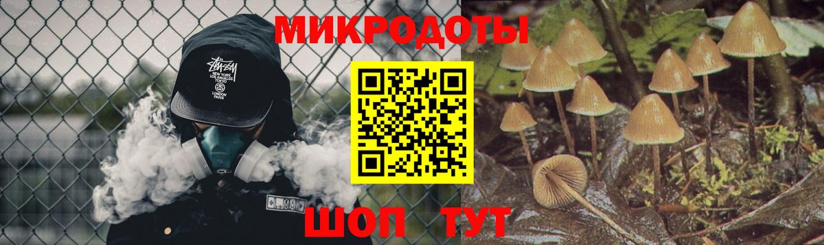 Псилоцибиновые грибы Cubensis Кохма